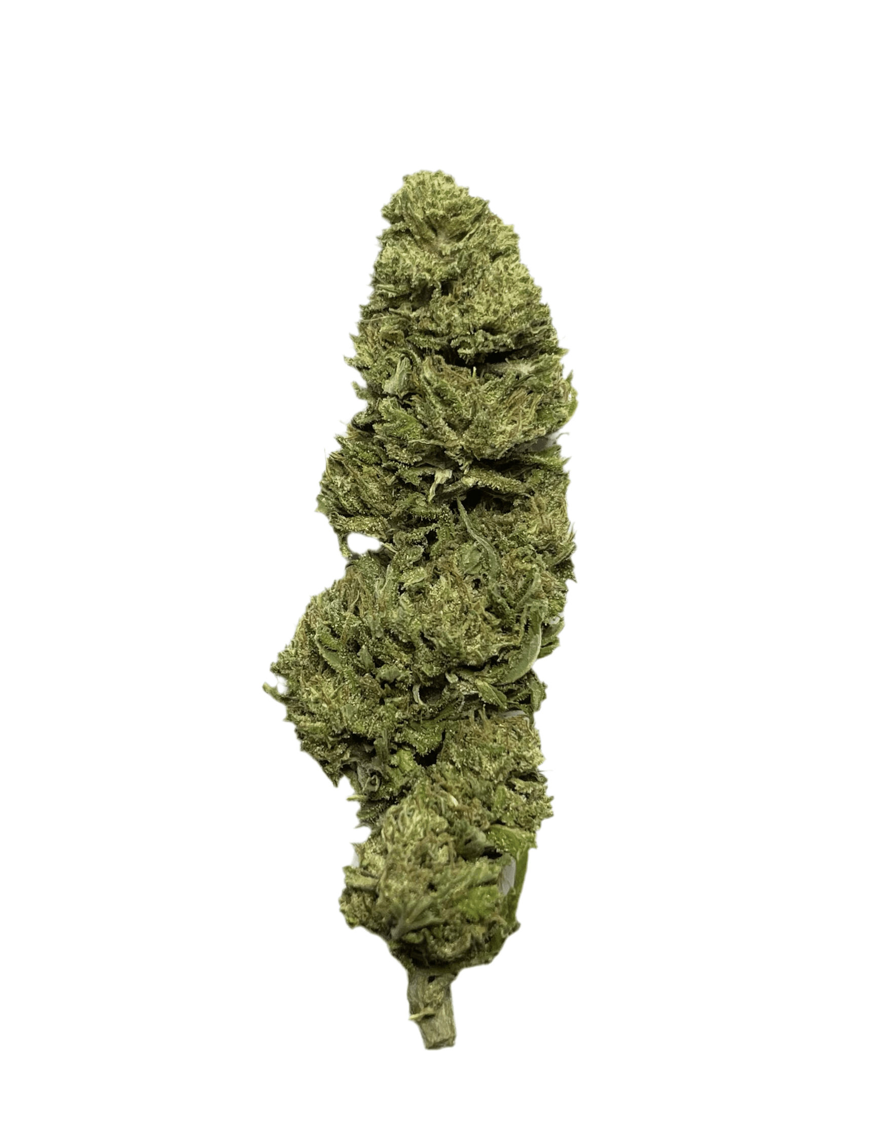 gorilla glue - cannabis light - cbd - outdoor - be green 