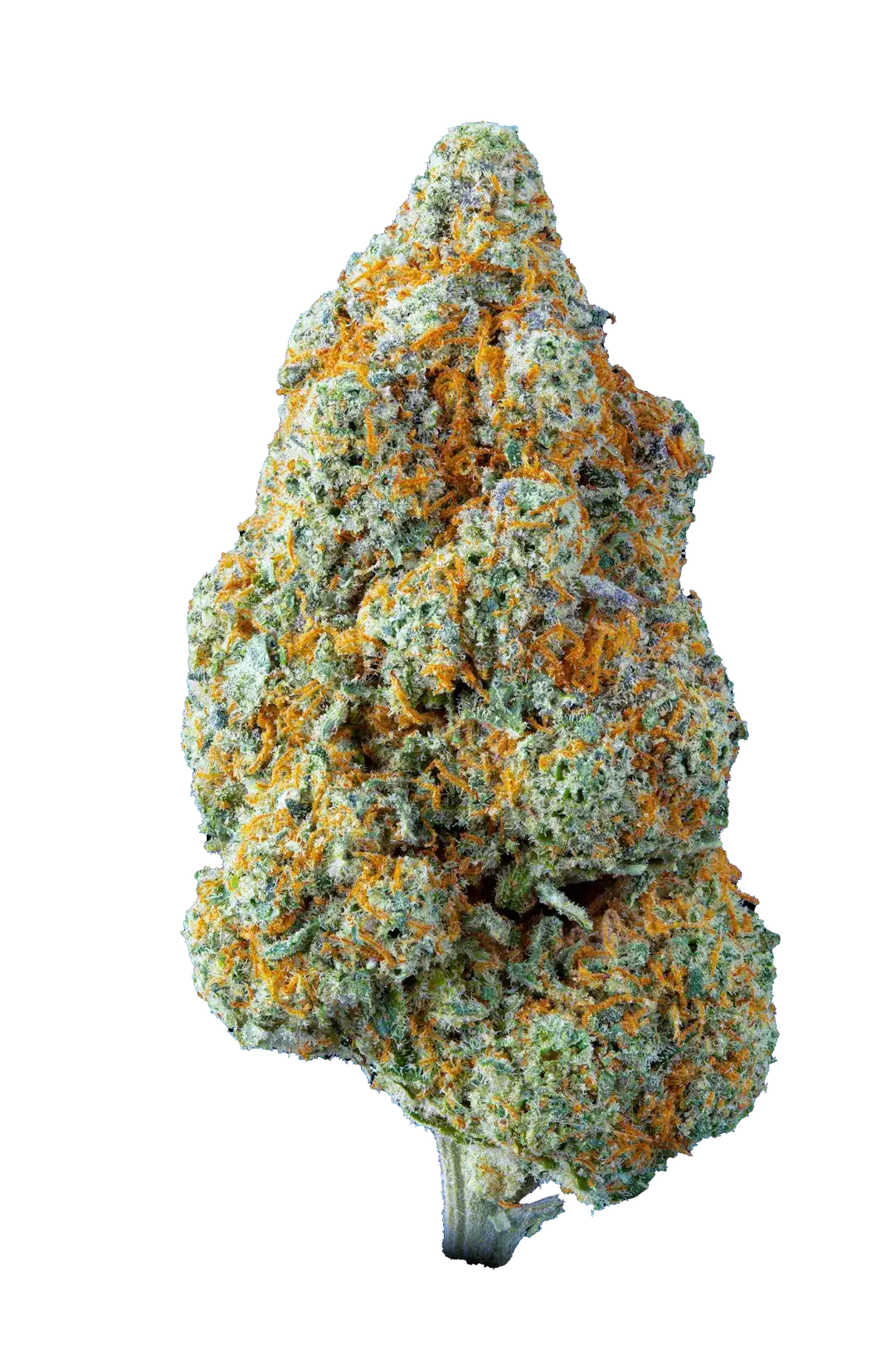 lemon kush pop - cbd - cannabis light - erba legale - premium - indoor - top quality