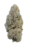 Snowing in Dam cannabis light Be Green indoor premium 16% CBD