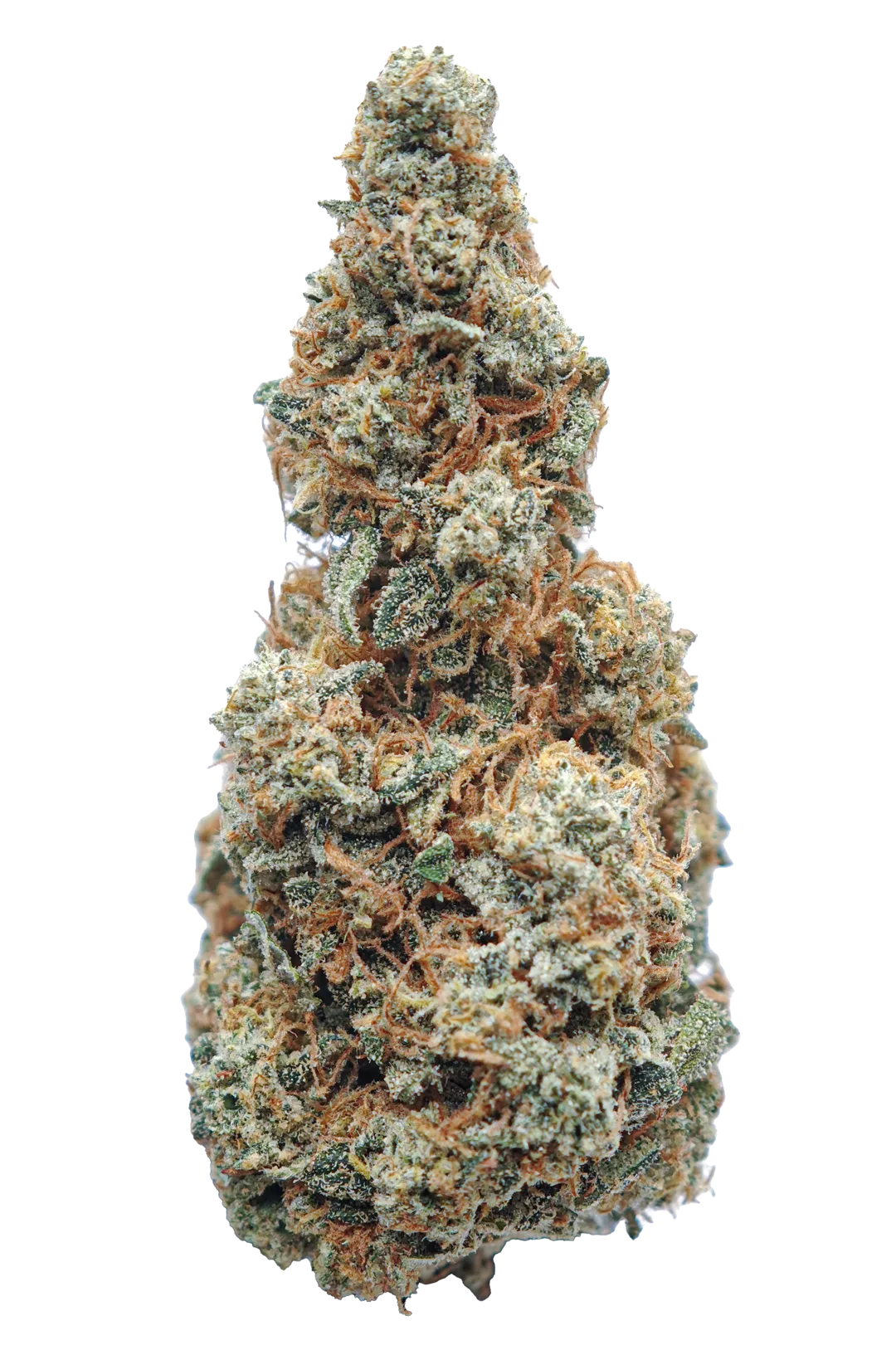 cannabis light indoor topo quality
